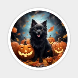 Schipperke Halloween painting Magnet